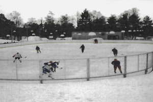 Bilde av Kunstisflata